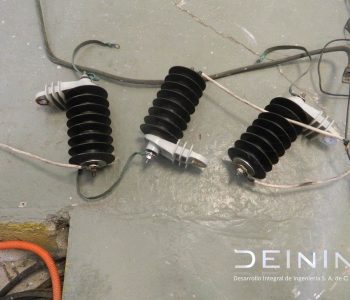 DSCN4796