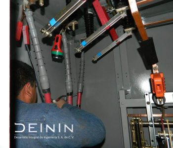 DSCN4884