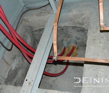DSCN4894