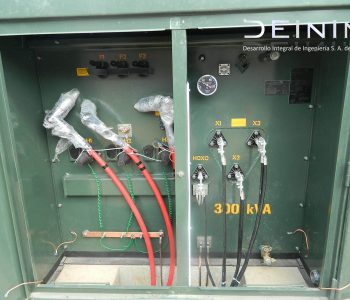 DSCN5864