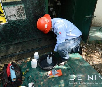 DSCN5907